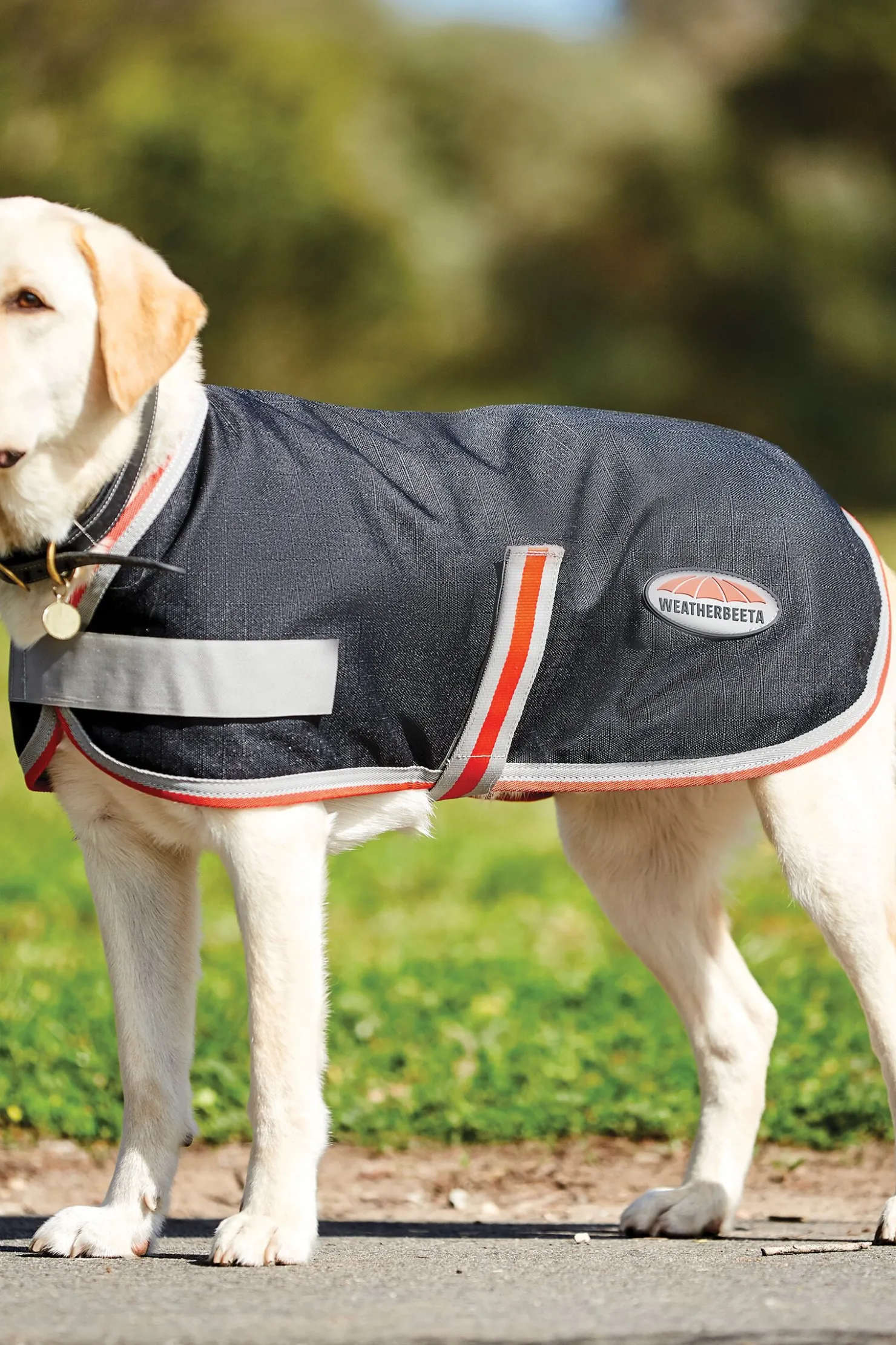 Outlet weatherbeeta Comfitec Therapy-Tec 1200D Dog Coat, 100g Black/Silver/Red